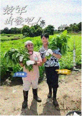 周末改造计划综艺封面